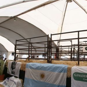 Carpa T